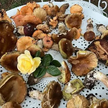 Retraite Pour Couple Dans Maison De Vigne Avec Terrasse - Fr-1-582-531 *