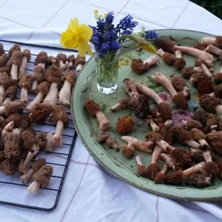 Retraite Pour Couple Dans Maison De Vigne Avec Terrasse - Fr-1-582-531 * Tailhac